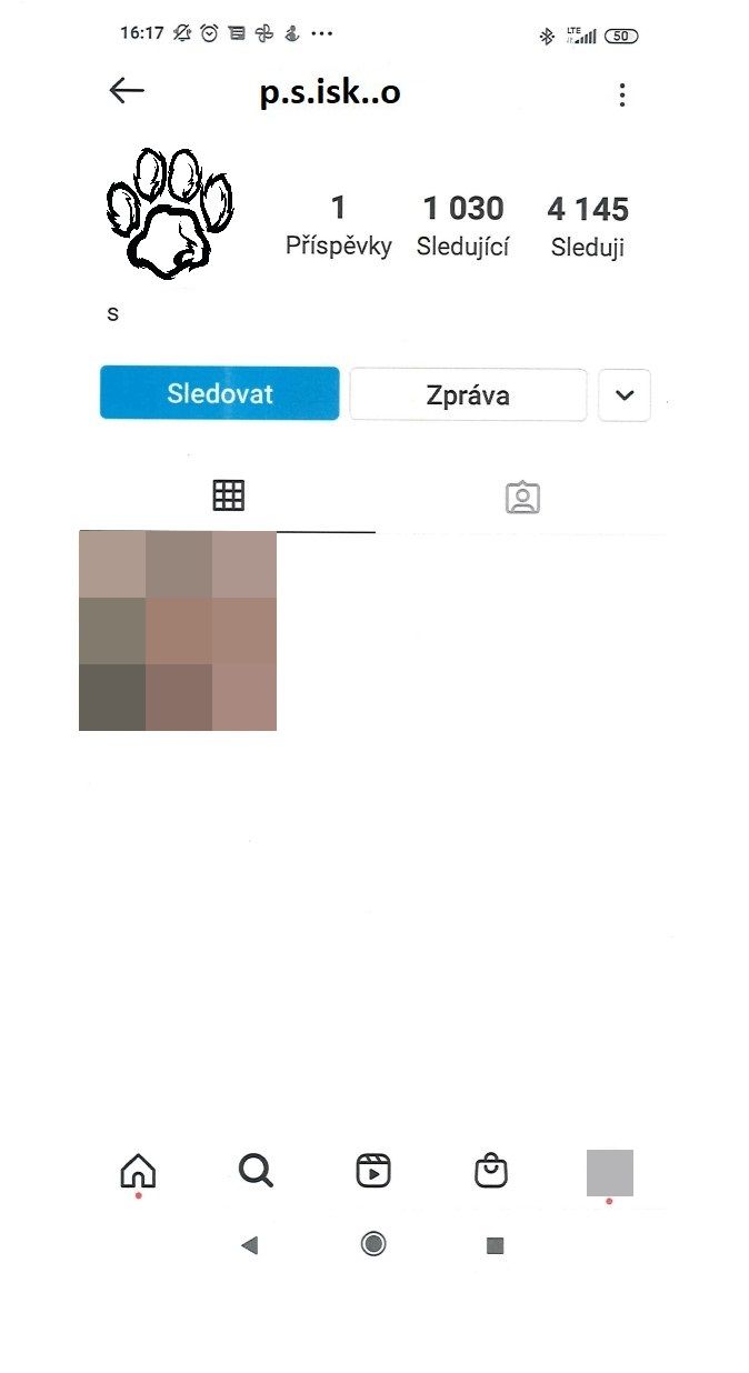 Falešný profil