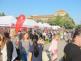 Festival vědy 43