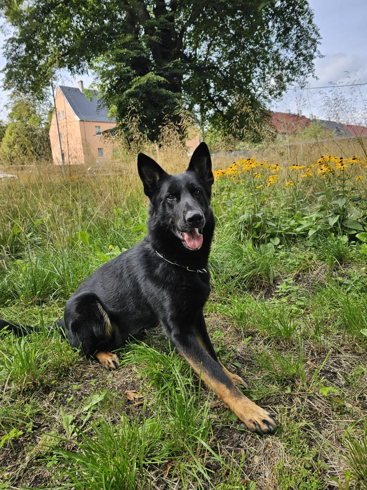 Foto 1