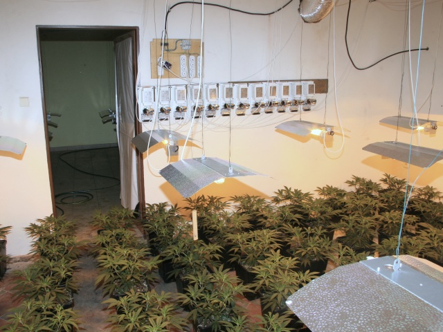 Foto 1