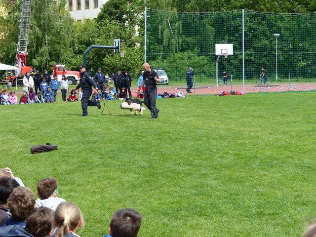 Foto 2