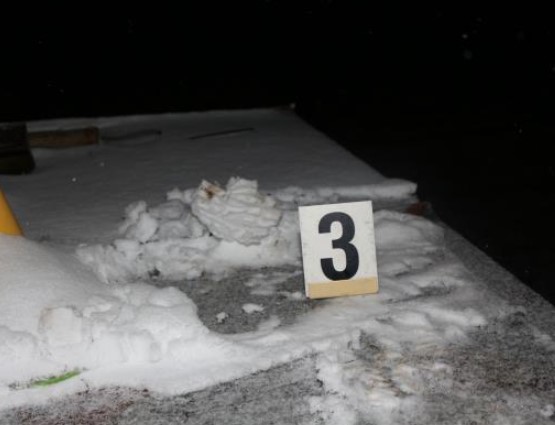 Foto 2.jpg