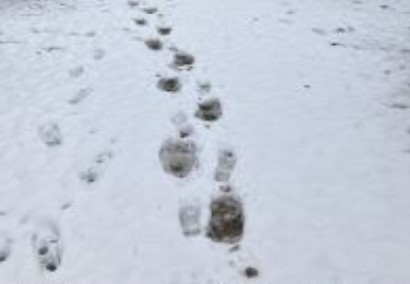 Foto 4.jpg