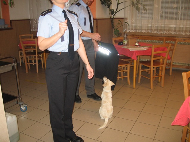 Foto 7