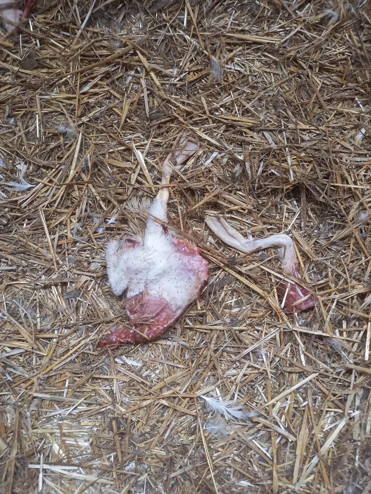 Foto 9.jpg