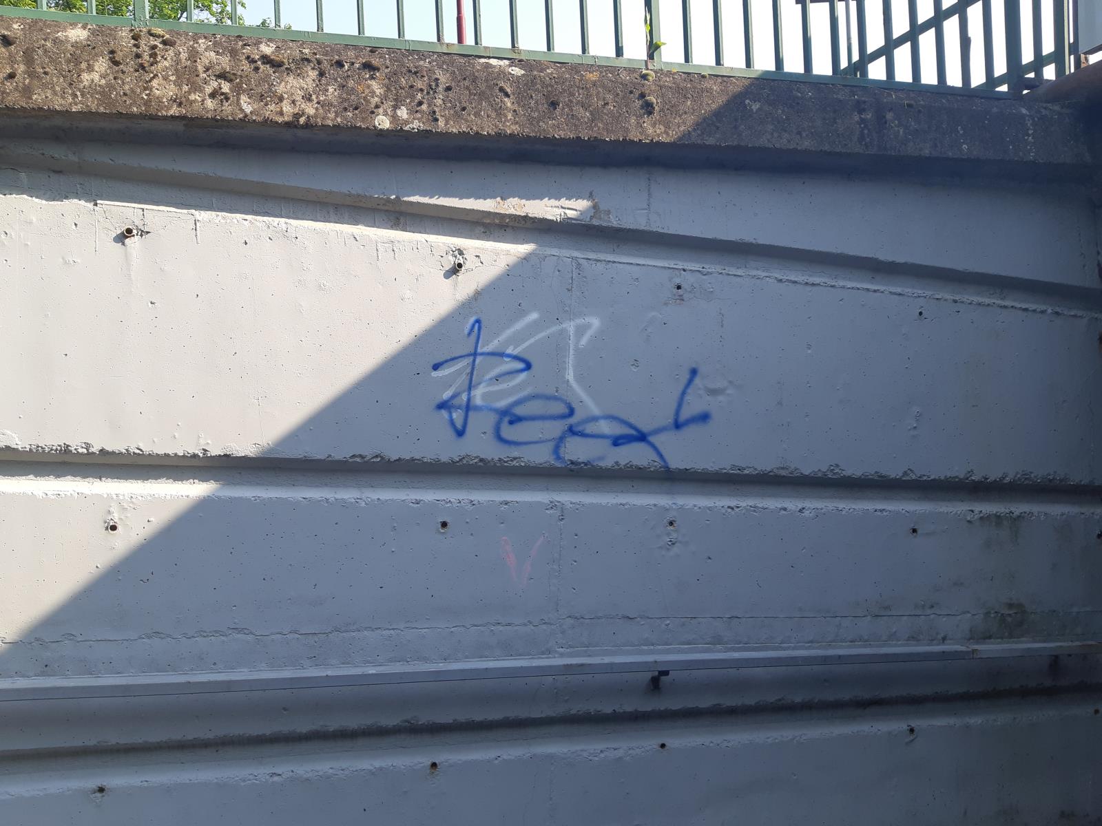 Foto PČR