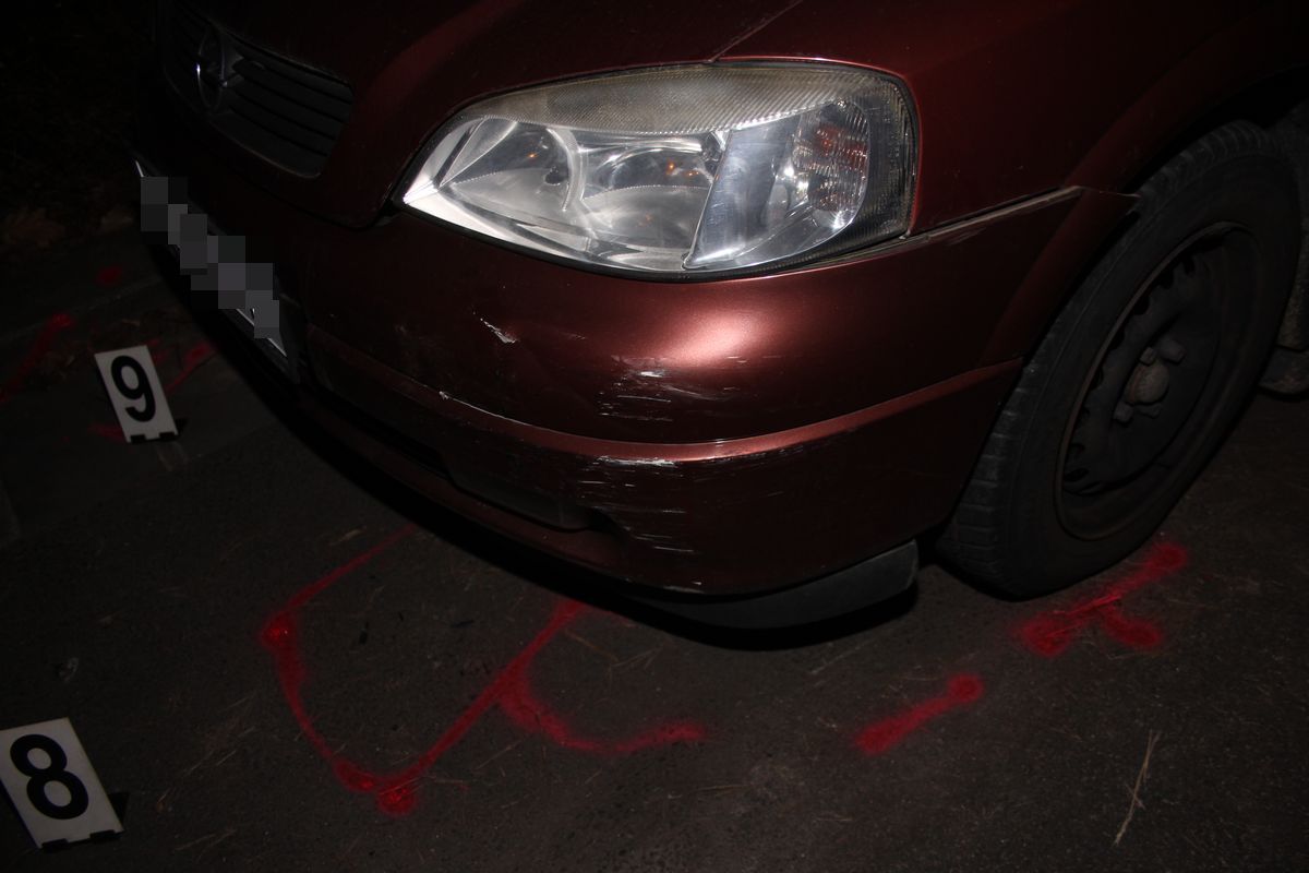 Foto PČR 2.JPG