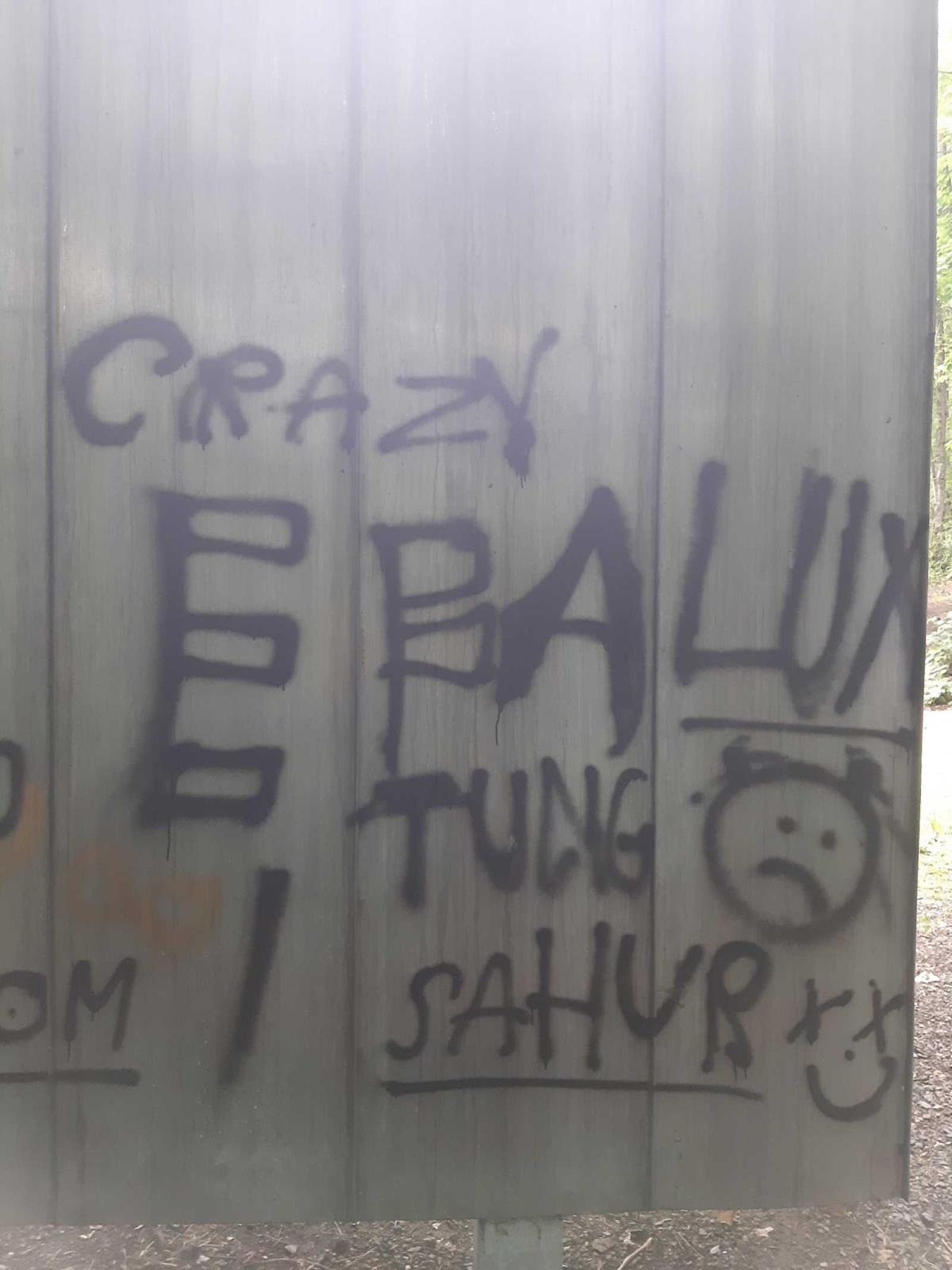 Foto PČR 5.jpg