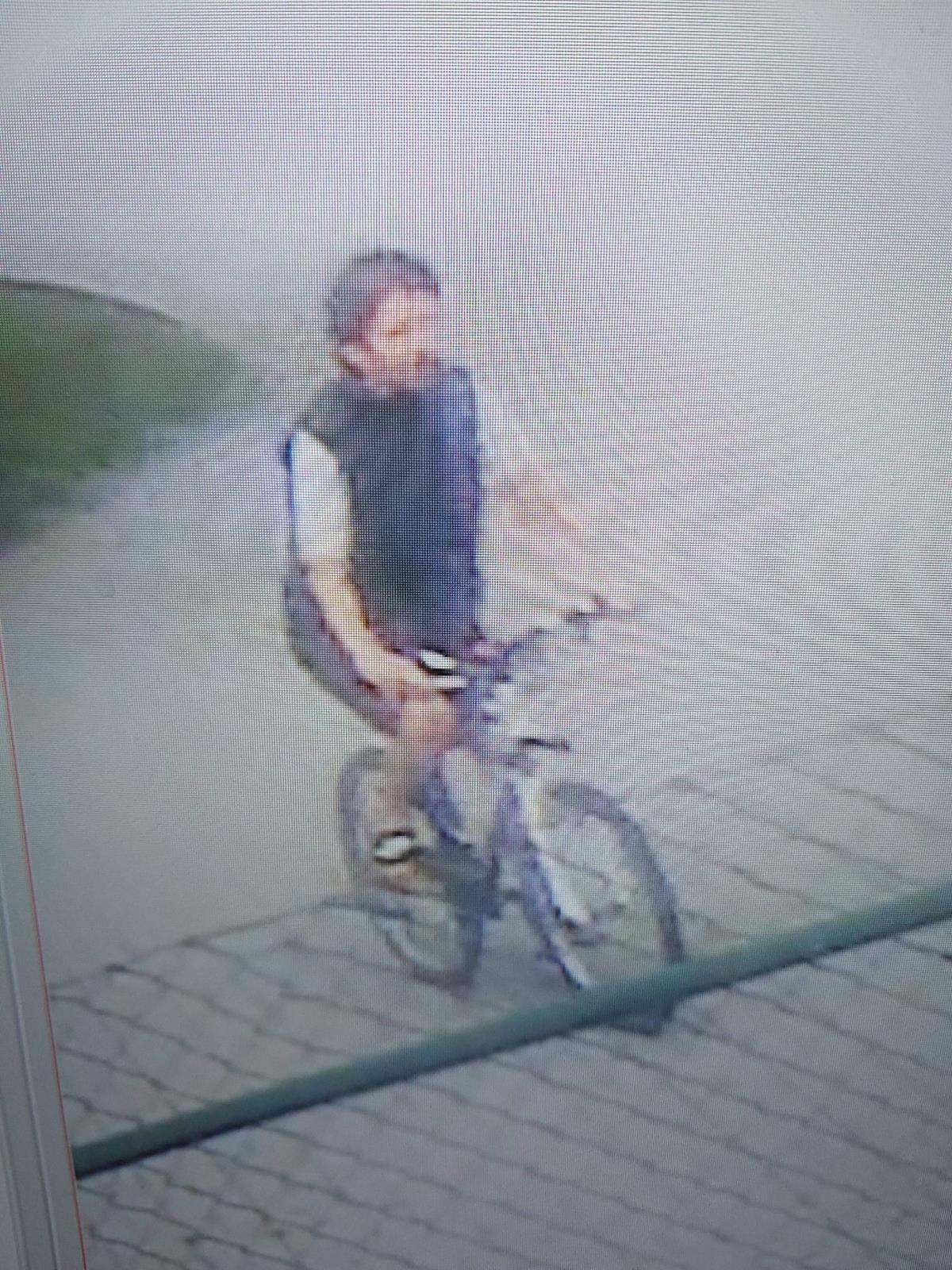 Foto č. 1