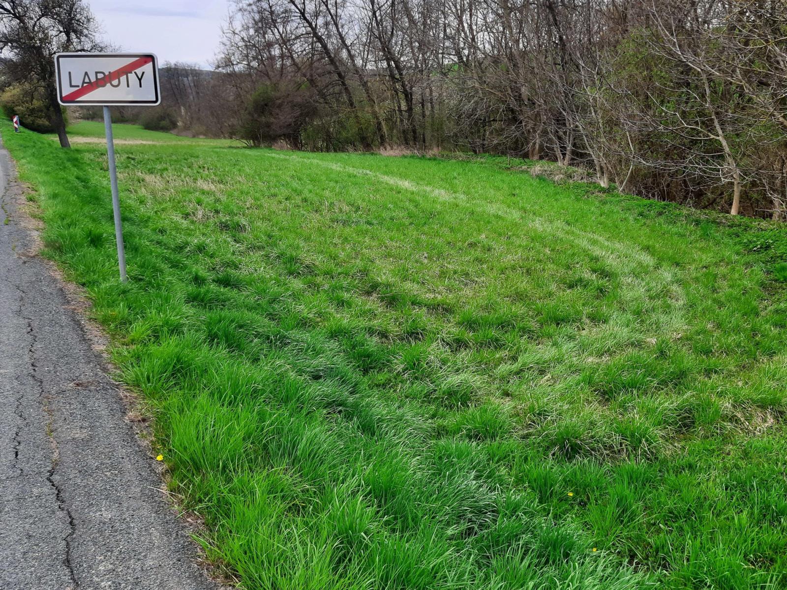 Foto č. 1 - Labuty.jpg