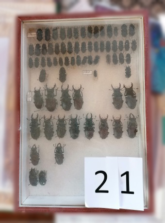 Foto č. 12 - Zajištěná věc.jpg