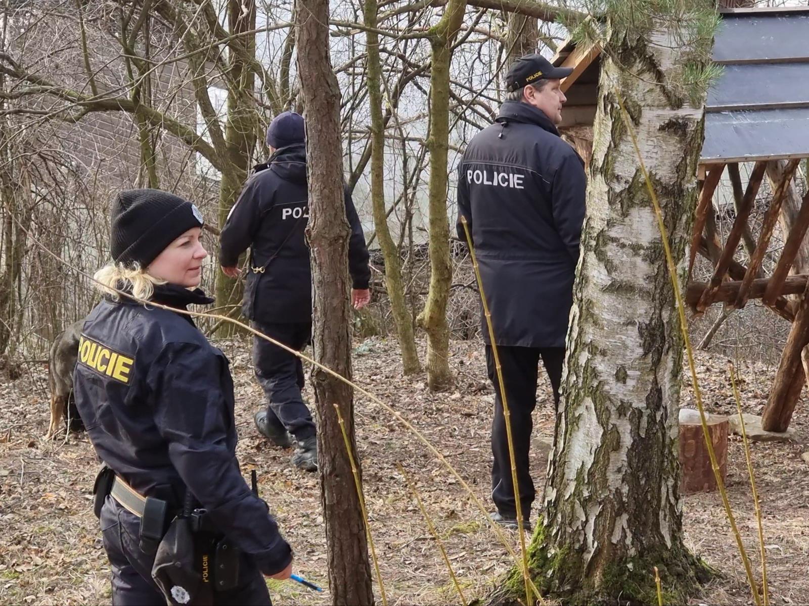 Foto č. 2.jpg
