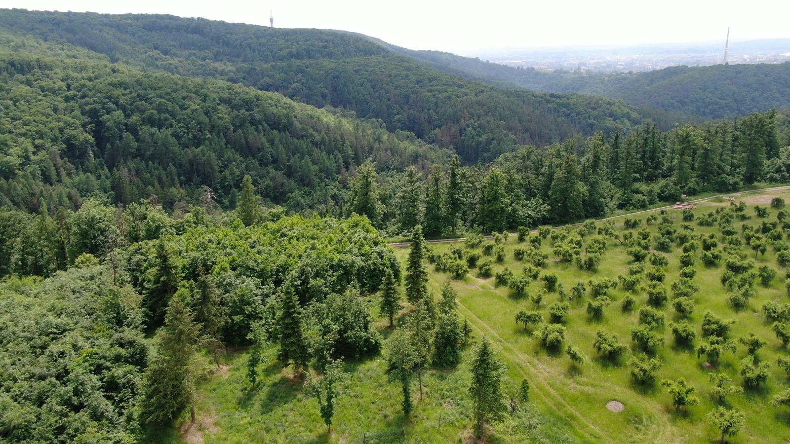 Foto č. 3.jpg