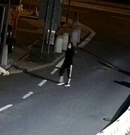 Foto č. 9.PNG