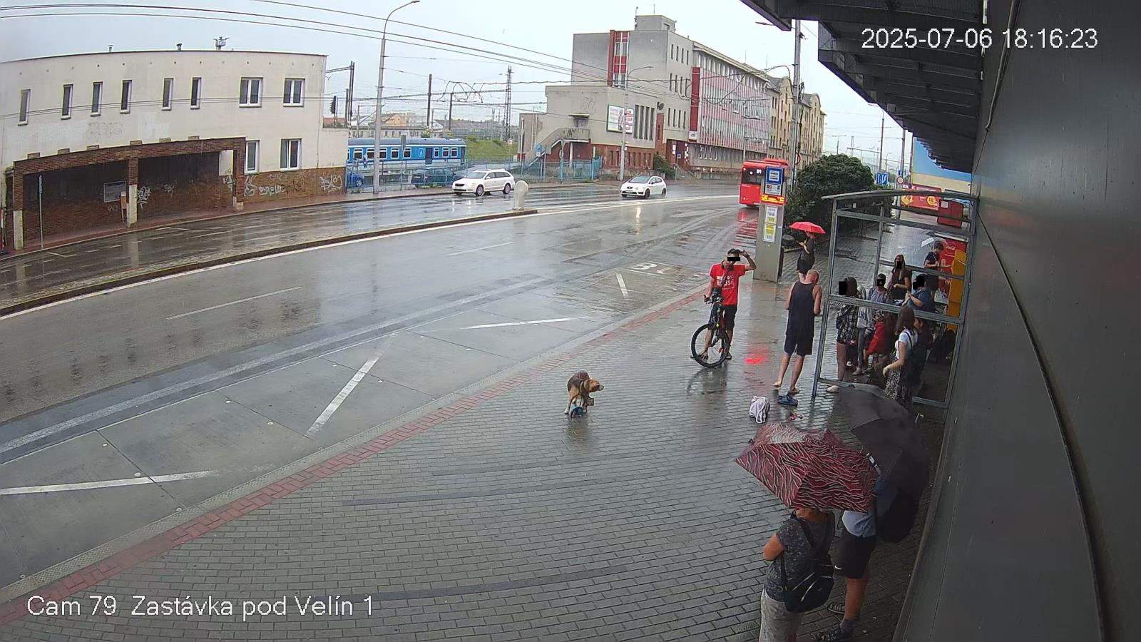 Foto cyklisty.jpg