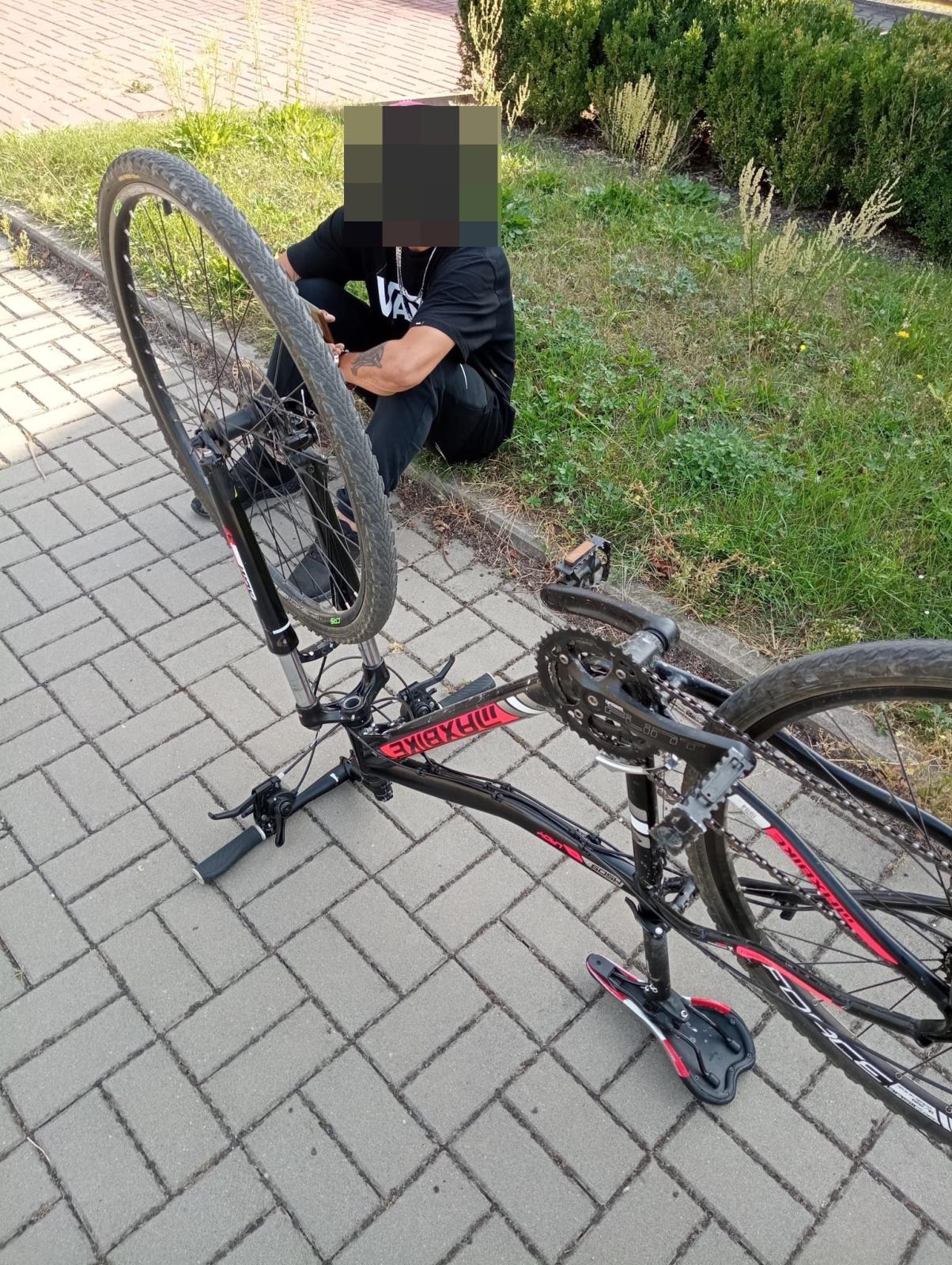 Foto kola