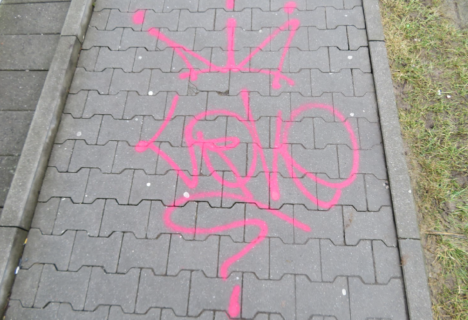 Foto1.png