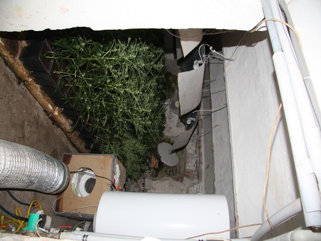Foto_03