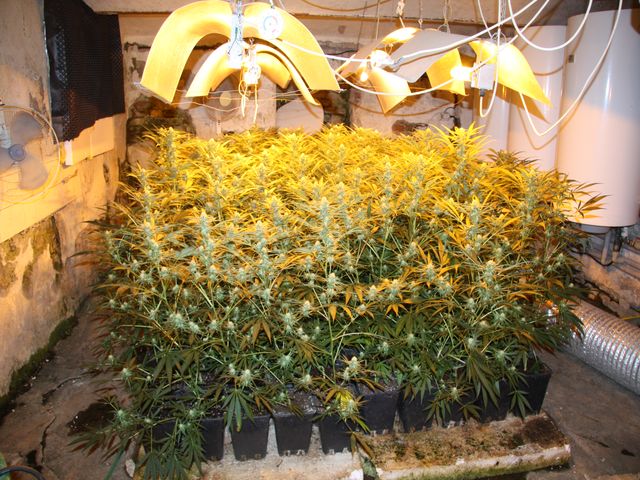 Foto_06