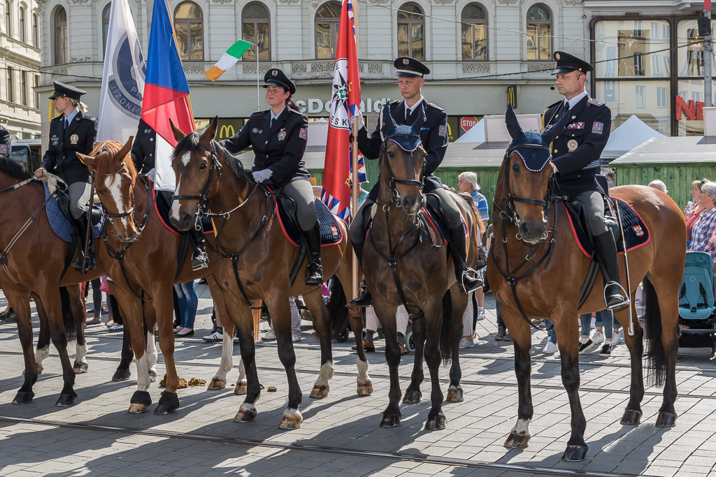 GP Policie ČR jezdectví