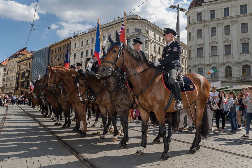 GP Policie ČR jezdectví