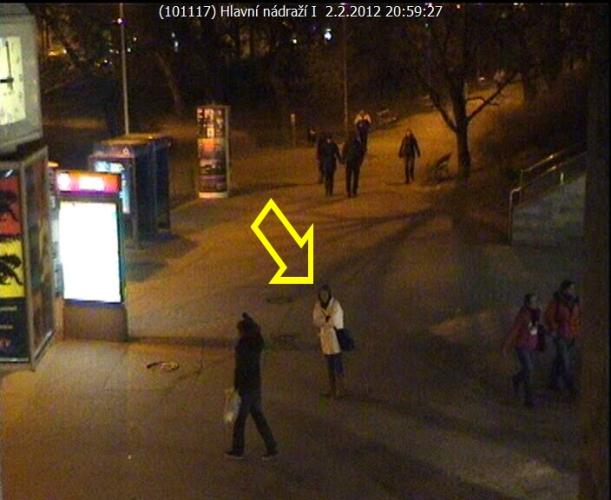 Hledaná žena 3.jpg