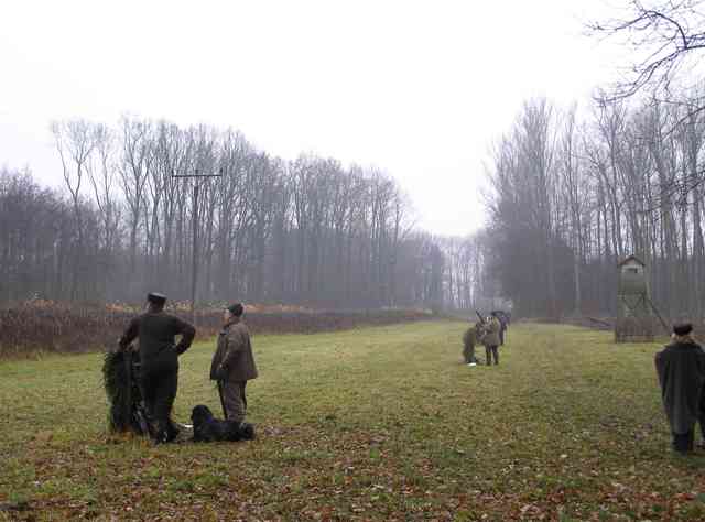 Hon 2010 - foto č. 1