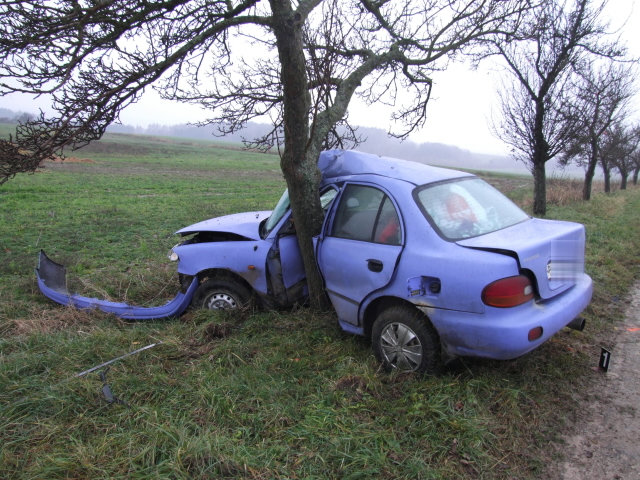 Hřibojedy 21.11.