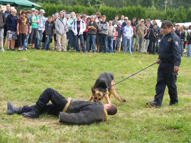 Hurá prázdniny Třeboň-  ukázka výcviku psů PČR.jpg