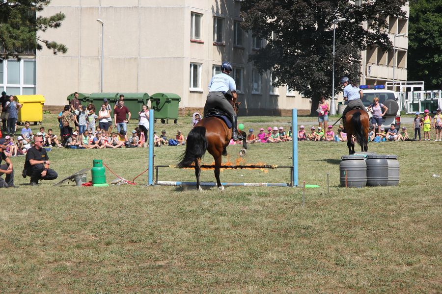 IMG_7440.JPG