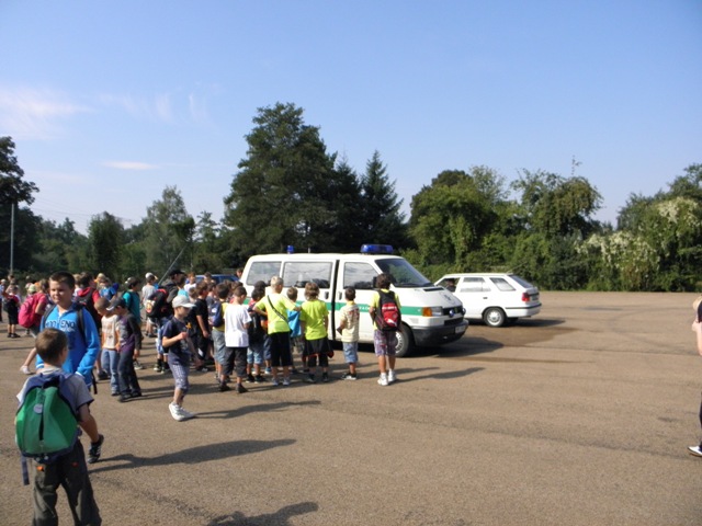 IZS 11
