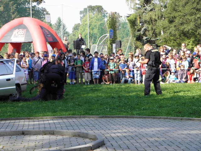 IZS 8