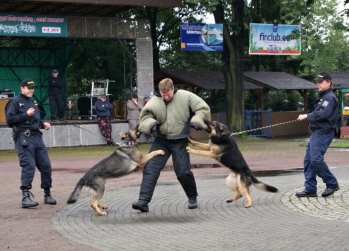 IZS Bystřice psi zakročují