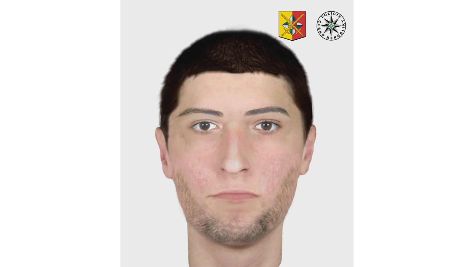 Identikit pachatele.png