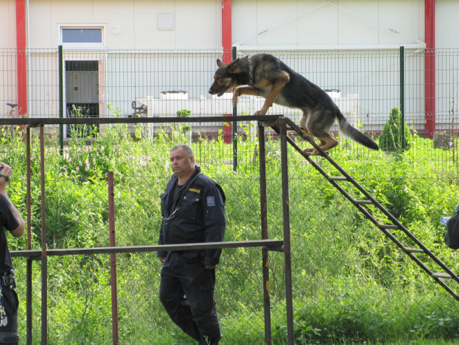 Il. foto.bmp