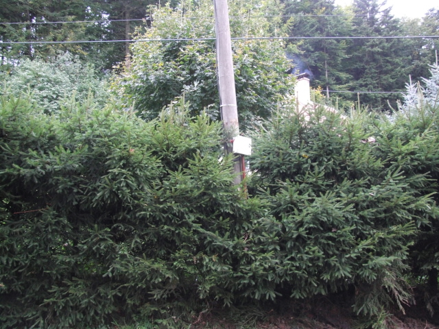 Jívka 28.9.