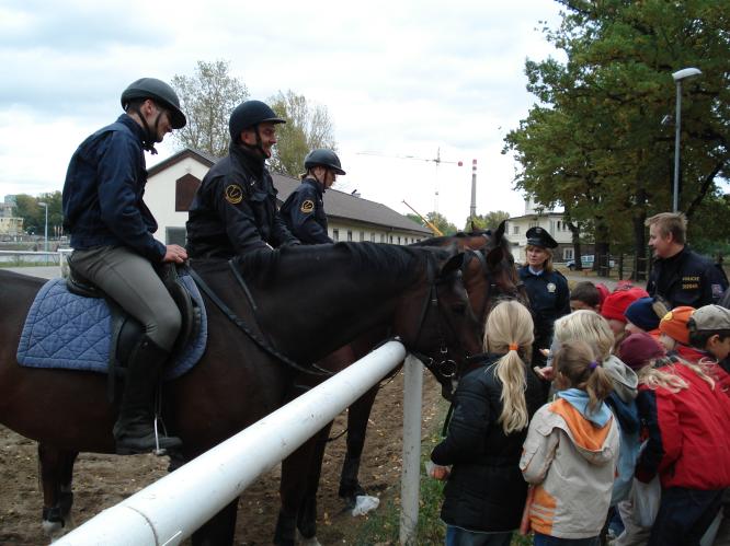 Jízdní policie-krmení