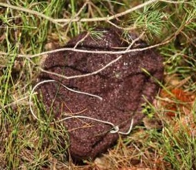 Klokočná - čepice hnědé barvy