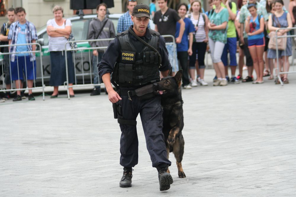 Konečný_Hank (3).jpg