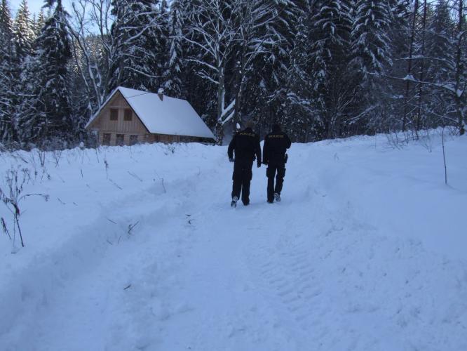 Kontrola chalup