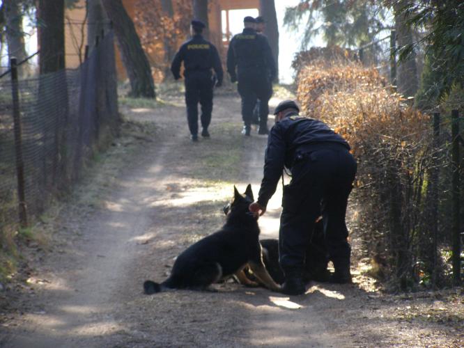 Kontrola chat