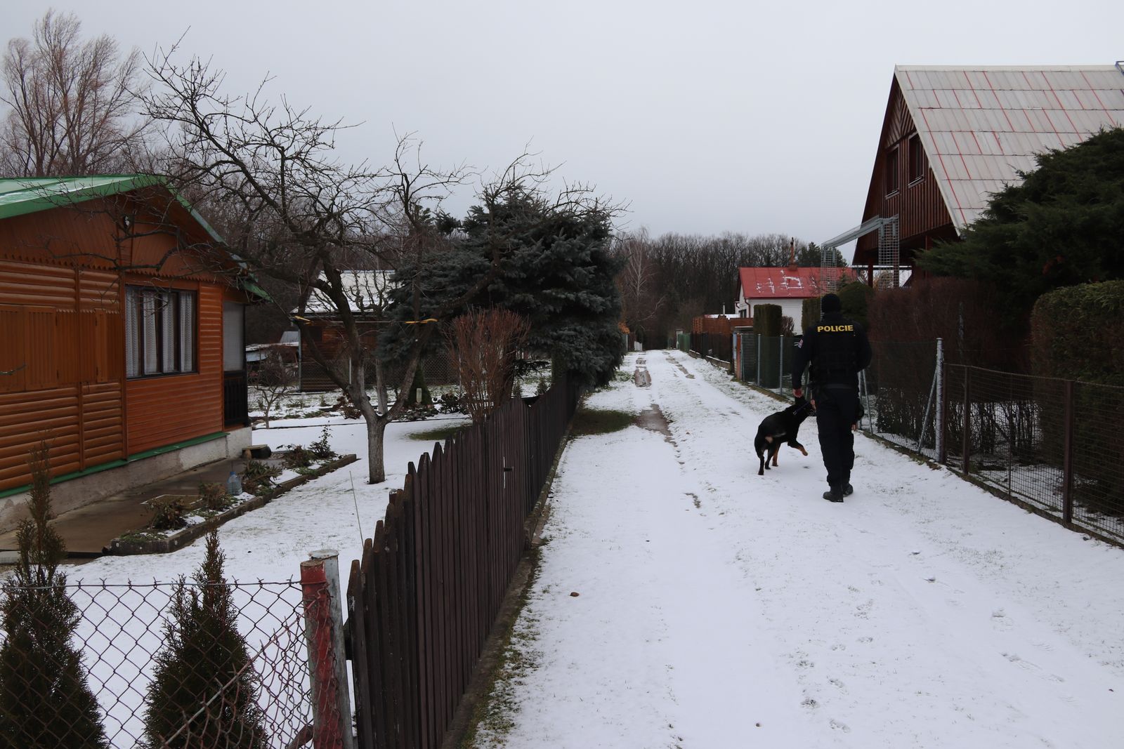 Kontrola chat
