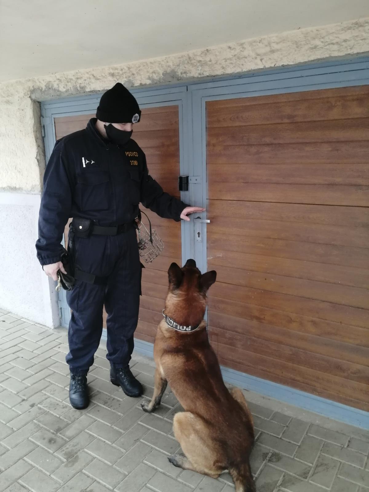 Kontrola rekreačních objektů