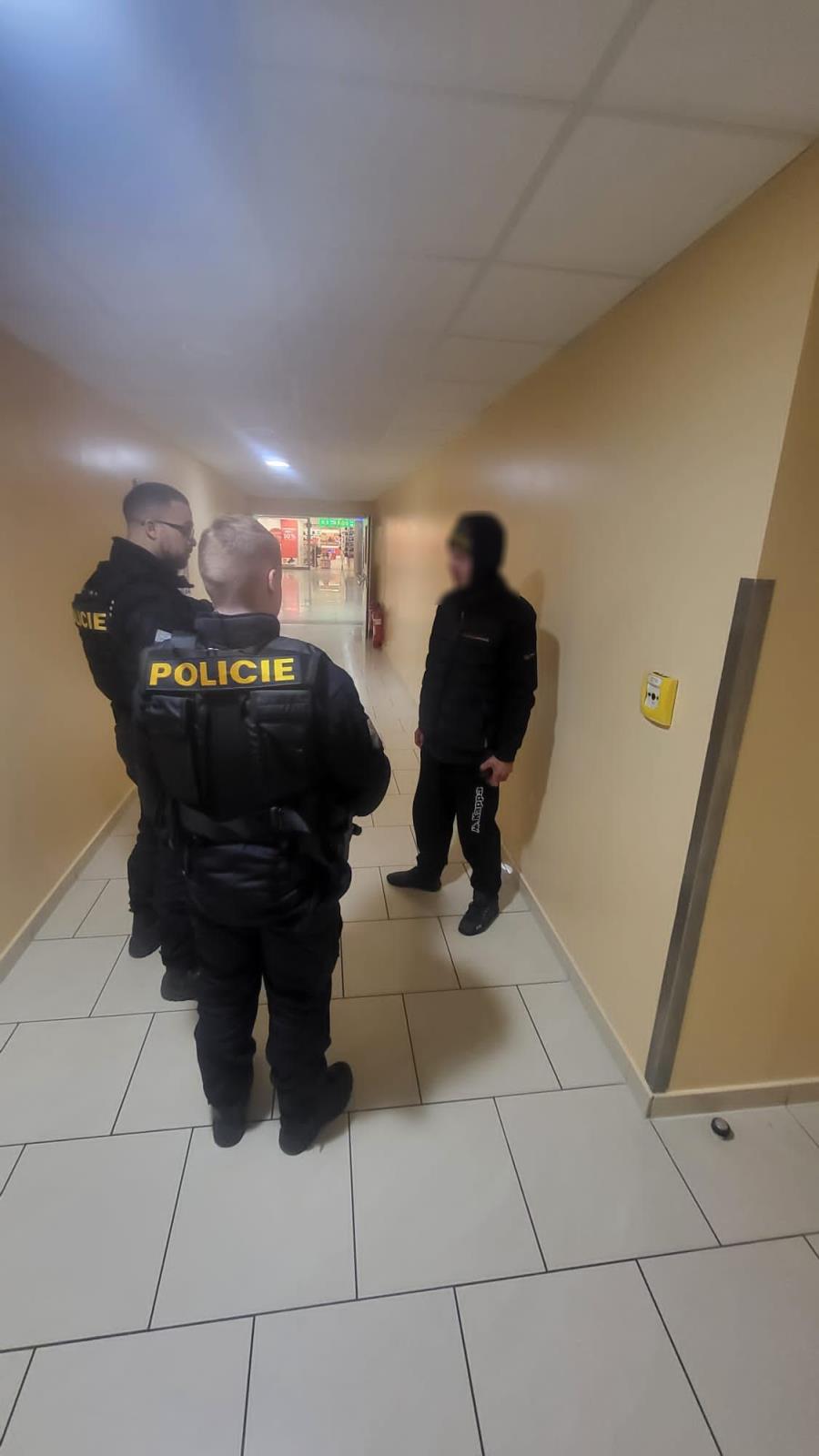 Kontroly cizinecké policie