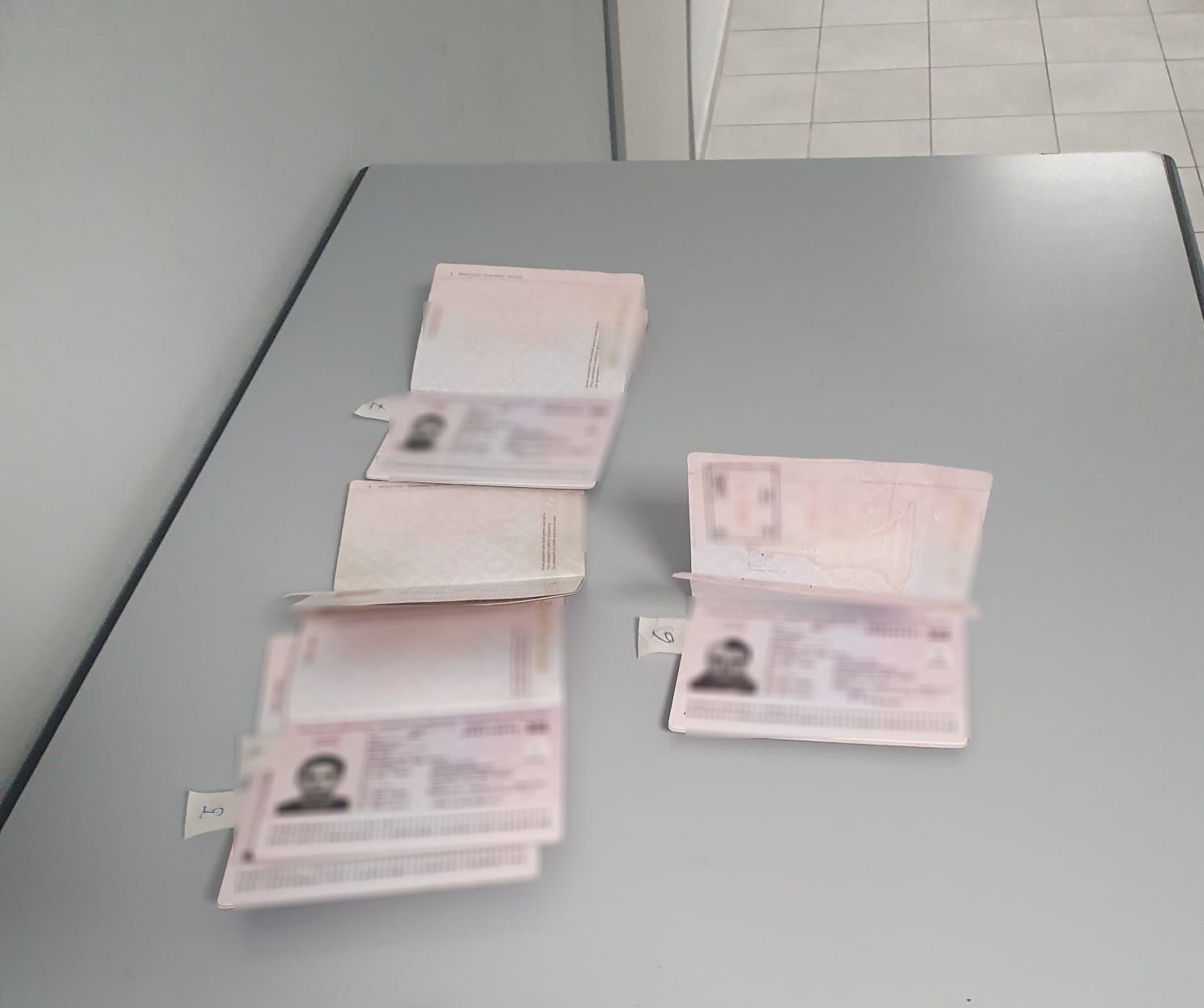 Kontroly odboru cizinecké policie