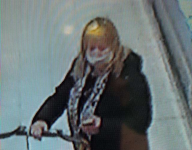 Krádež peněženky - Kaufland