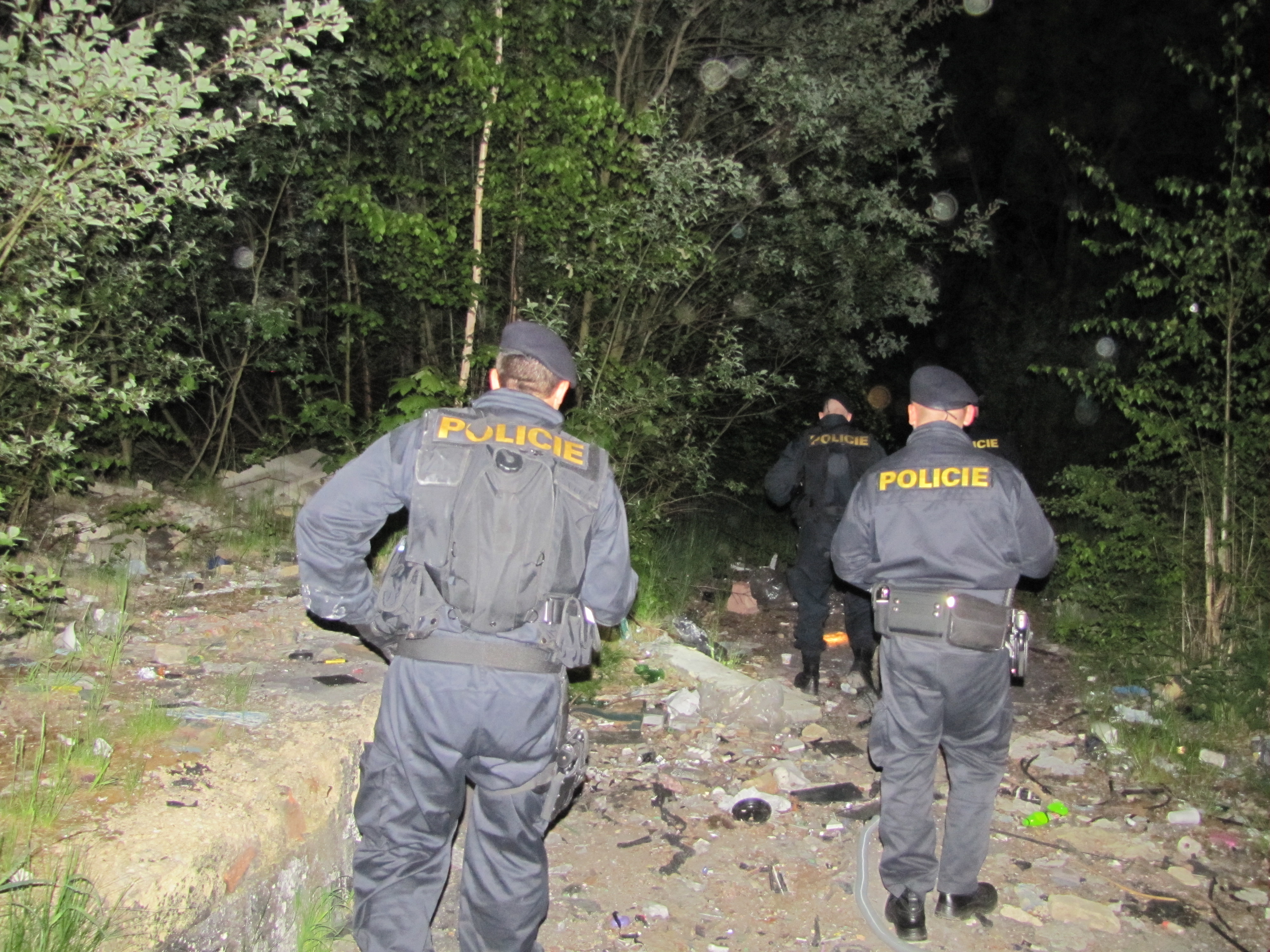 Krajská policejní akce Bezpečná Lokalita - Cheb