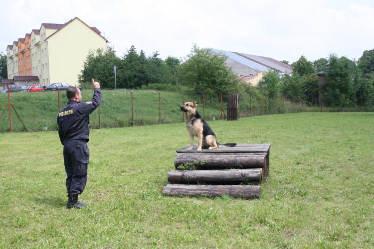 Krajské přebory policejních psů