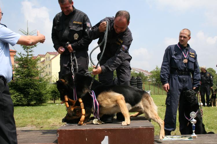 Krajské přebory policejních psů