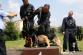 Krajské přebory policejních psů